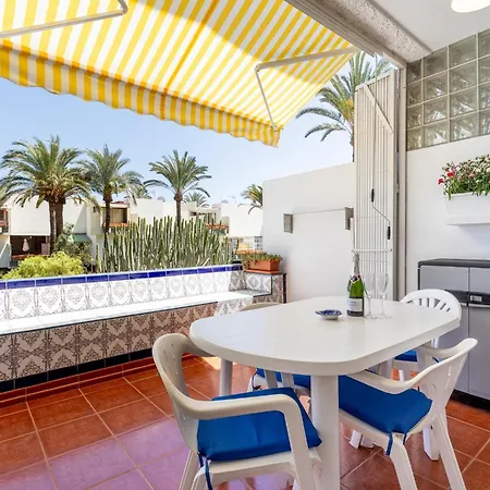 Frontera Primavera 535